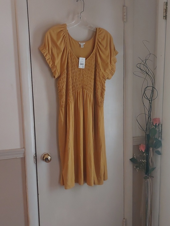 Cato Dresses & Skirts - Cato Dijon Yellow Smocked Short Sleeved Babydoll Dress Womans Sz 14/16